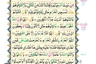 teach quran with tajweed and arabic with grammar