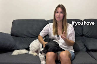 create ugc with my dog for your brands