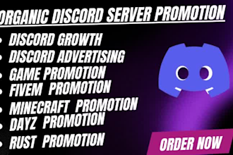 promote your gaming fivem server, dayz, rust, minecraft server discord promotion