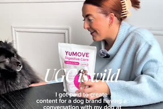 create dog or cat pet product ugc videos, amazon product videos and ugc ads