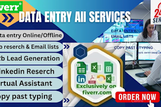 do data entry, excel data, typing, web researcher, virtual assistant
