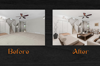 do professional virtual staging and renovation within 24 hours