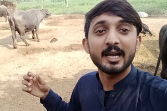 sing happy birthday and say any messages as indian spokenperson