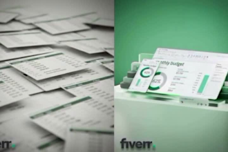 be a professional google sheets and microsoft excel expert for data entry