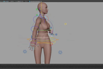input bone to3d model,nurbs control,livelink face,avatar shapekey,mixamo rigging