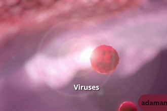create 3d molecular animation, biotech moa and scientific medical visualization