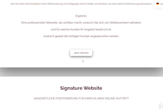 design a professional wordpress website for your business