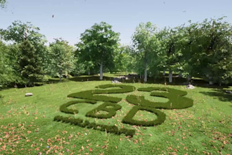 do intro video for gardening company