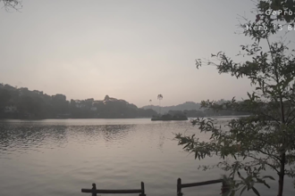 professional video editing and cinematic color grading