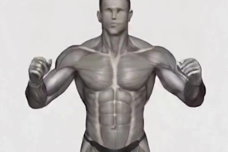 do 3d ai workout animation videos of detailed anatomy and bodybuilding fitness