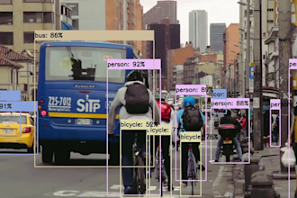 develop yolo object detection computer vision web app