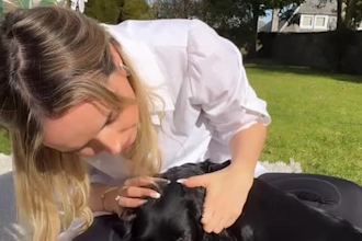 create dog ugc videos for pet brands, tiktok ads and amazon