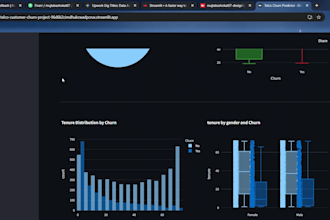 build interactive streamlit dashboards and ml models