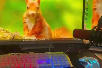 teach you obs studio for streaming and recording