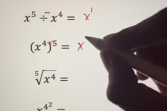 help you understand algebra, calculus, statistics, and linear algebra