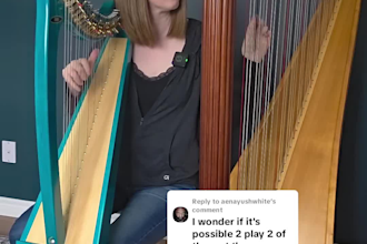 provide professional harp lessons and music theory coaching