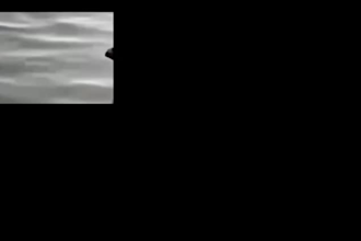 provide profession vfx video editing