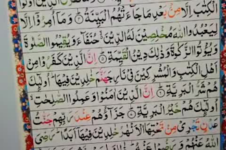 be your online quran teacher, quran tutor for females and kids