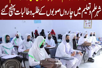 do preofessional urdu news video editing and youtube video editor