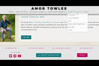 build author website, children book author website, book landing page design