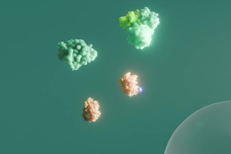creat 3d medical animation