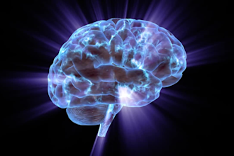 write mental health and mindfulness blog posts and articles