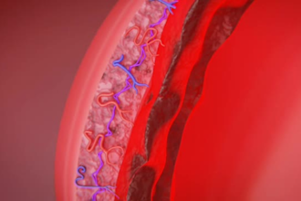 create realistic 3d ai medical animation videos and films