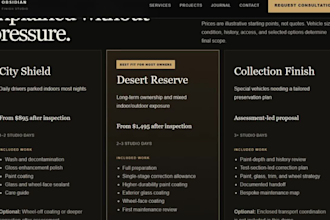 design a professional auto detailing business website