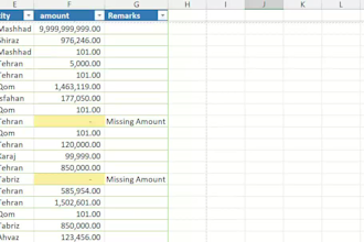clean, organize and format excel spreadsheets
