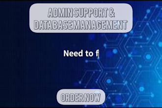 create microsoft access database and excel admin support solutions