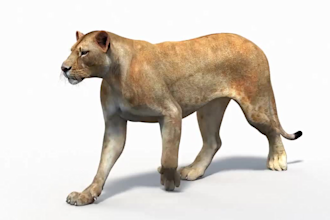 create realistic cgi animal animation vfx and compositing