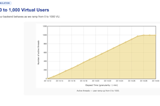 do jmeter or k6 performance testing and provide professional security audits