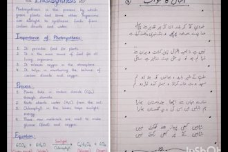 write neat handwritten notes