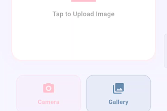 build a flutter app clean UI and google play store upload