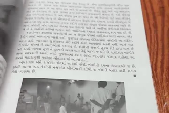 provide expert gujarati translation, writing, typing,  formatting, ms office