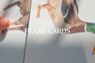 create custom printable flashcards for children, toddlers, and preschool
