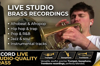 record high quality trumpet, saxophone, trombone or horn section for your song