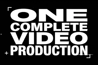 create ai video ads with script, voiceover, visuals and professional editing