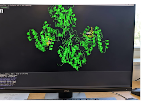 do protein modeling, molecular docking and bioinformatics analysis