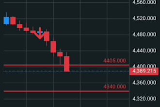 be your forex trading mentor and teach professional trading strategies