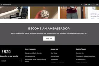 build a premium business website for your brand