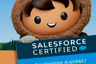 be your salesforce developer, consultant, and administrator