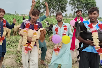 do happy birthday video africa happy birthday video