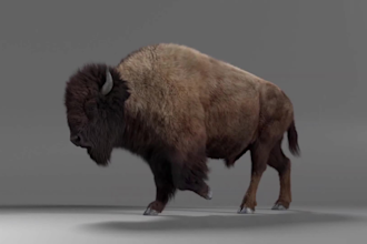 produce high quality 3d animal animation with pro vfx, animal compositing