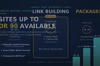 do high quality guest post link building and niche edits for SEO