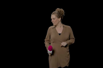 provide high quality rotoscoping and seamless object removal