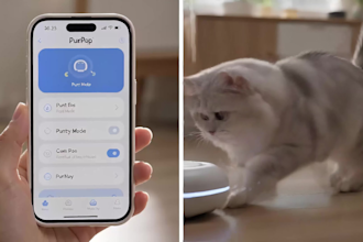 create ai product video ads for your app saas or startup