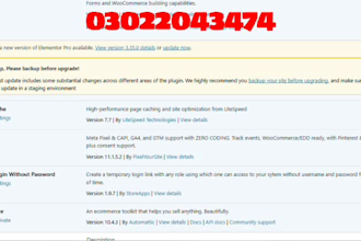 install and activate elementor pro on wordpress with proper setup