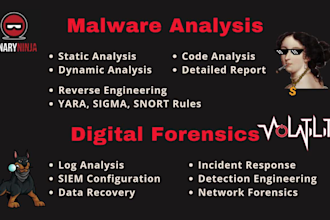do malware analysis and digital forensics with reporting