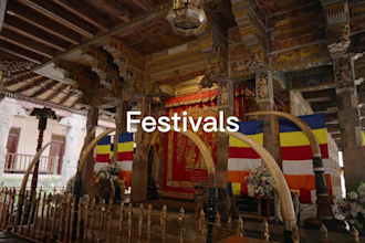 shoot sri lanka photos videos with full commercial rights